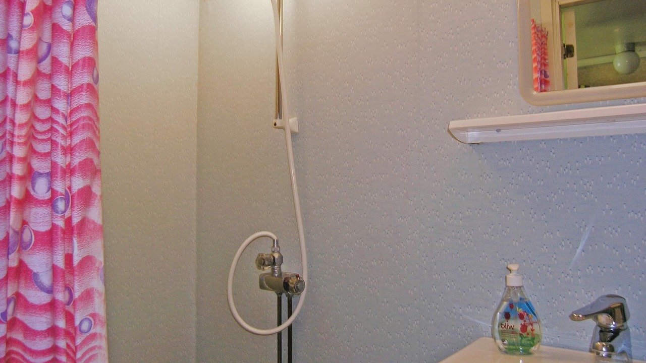 Photo of Bathroom in Torne