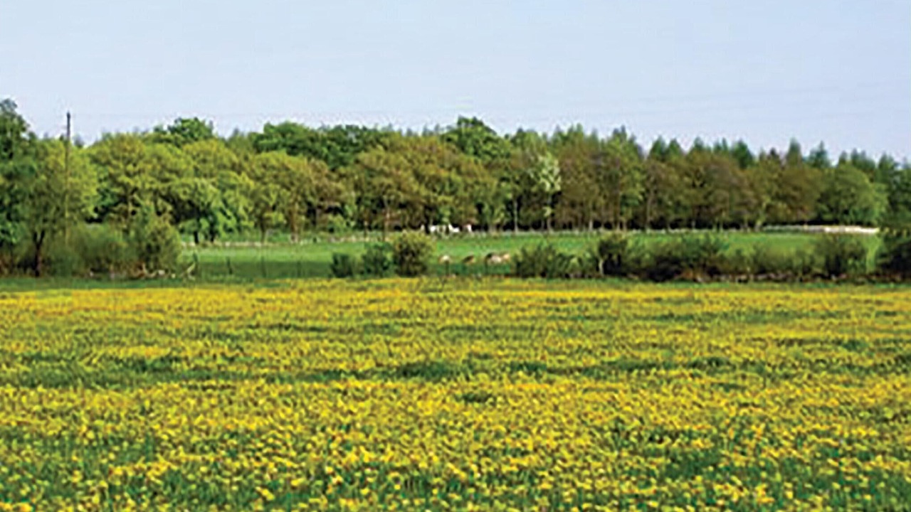 Photo of Others in Blentarp