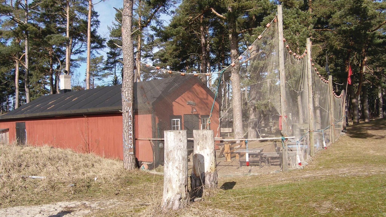 Photo of Others in Yngsjo