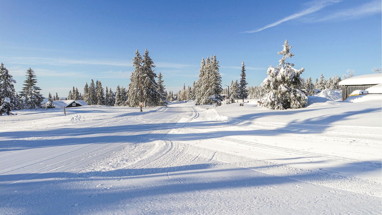 Photo of Others in Sjusjoen