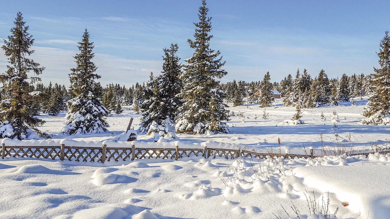 Photo of Others in Sjusjoen