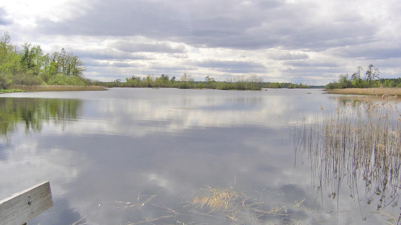 Photo of Others in Agunnaryd