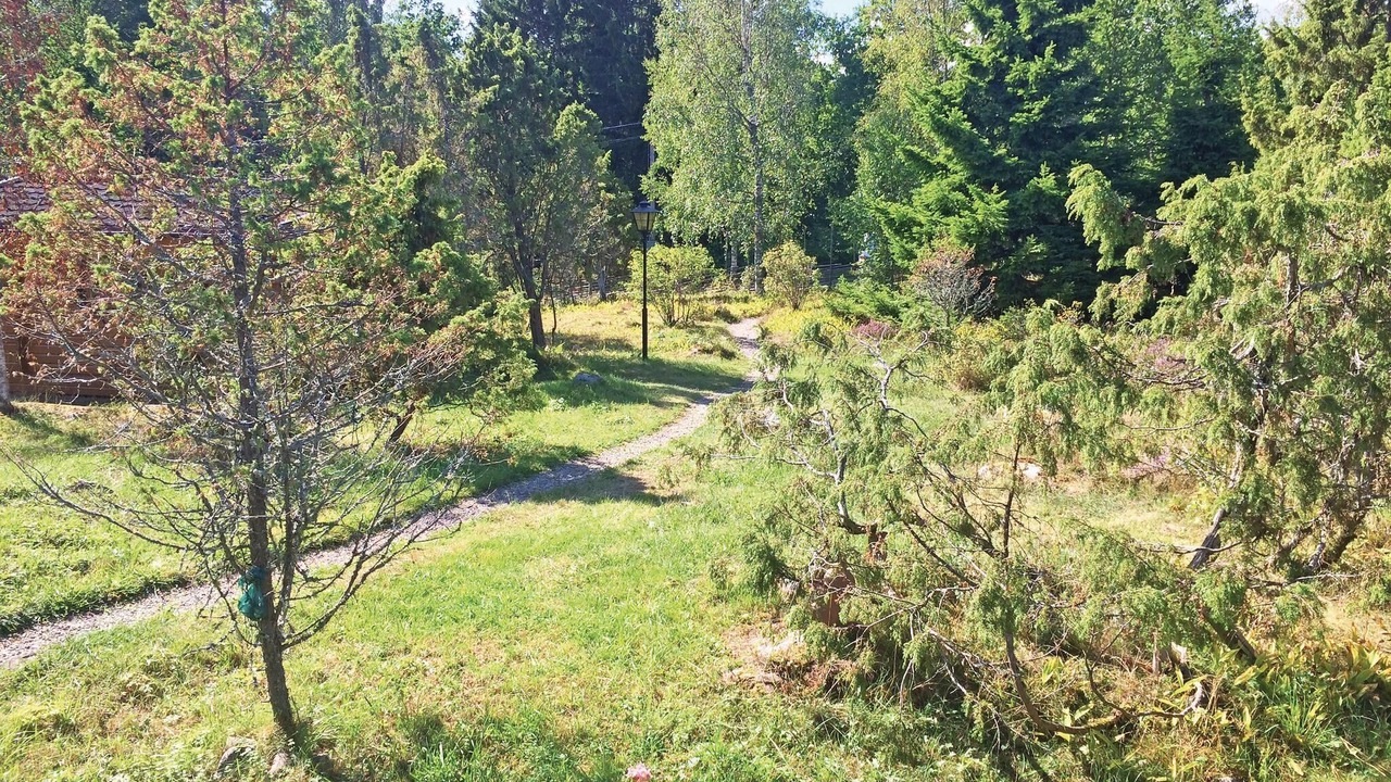 Photo of Others in Grisslehamn