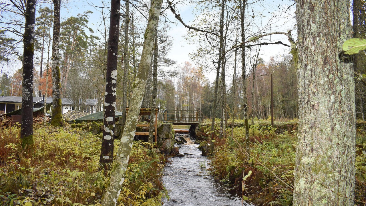 Photo of Others in Ryssby
