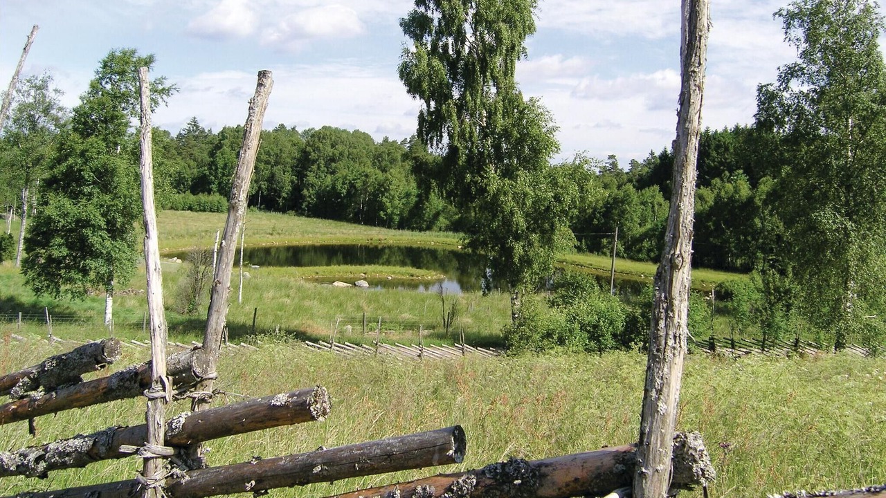 Photo of Others in Ljushult