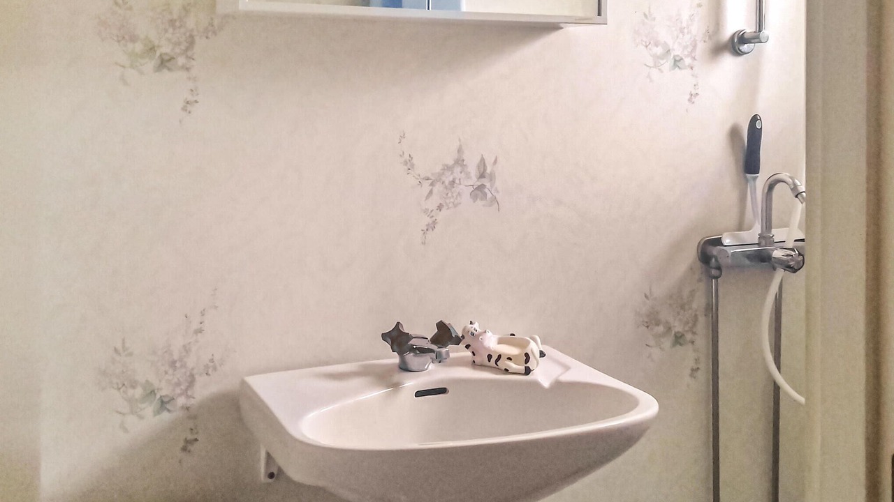 Photo of Bathroom in Roke