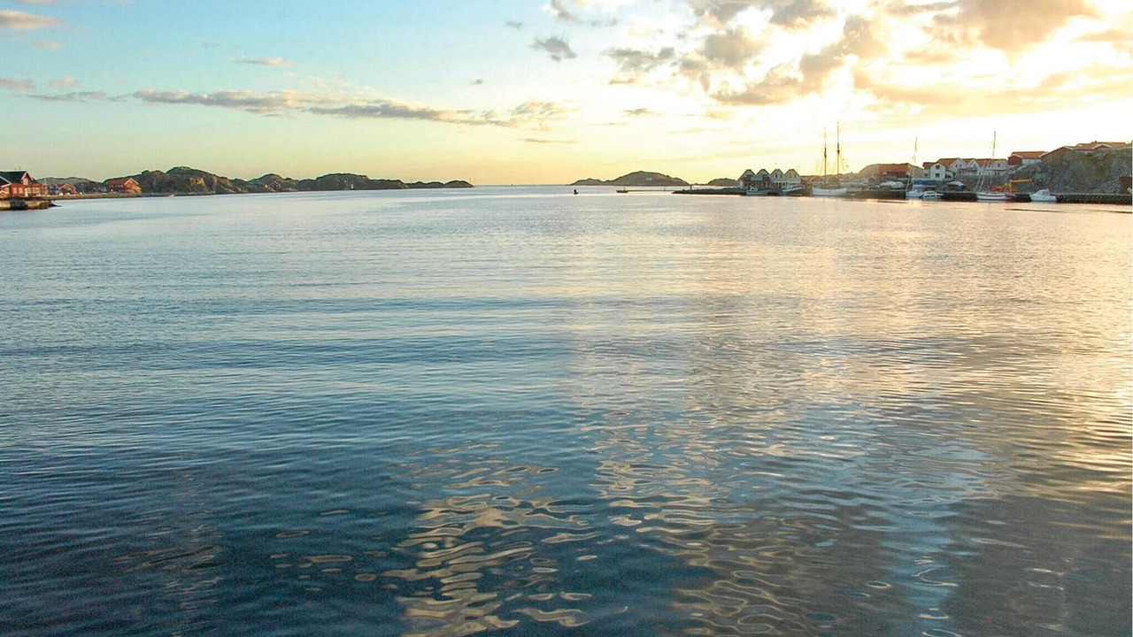 Photo of Others in Skaerhamn