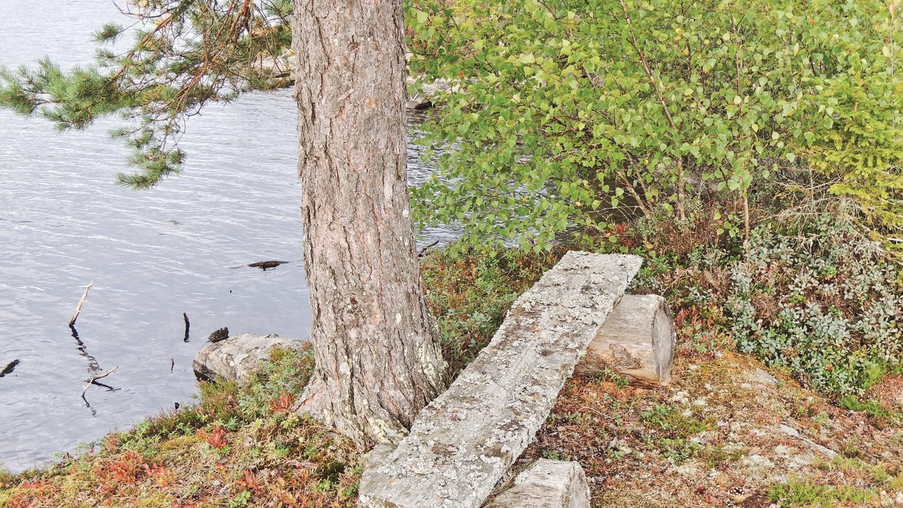 Photo of Others in Kraketorp
