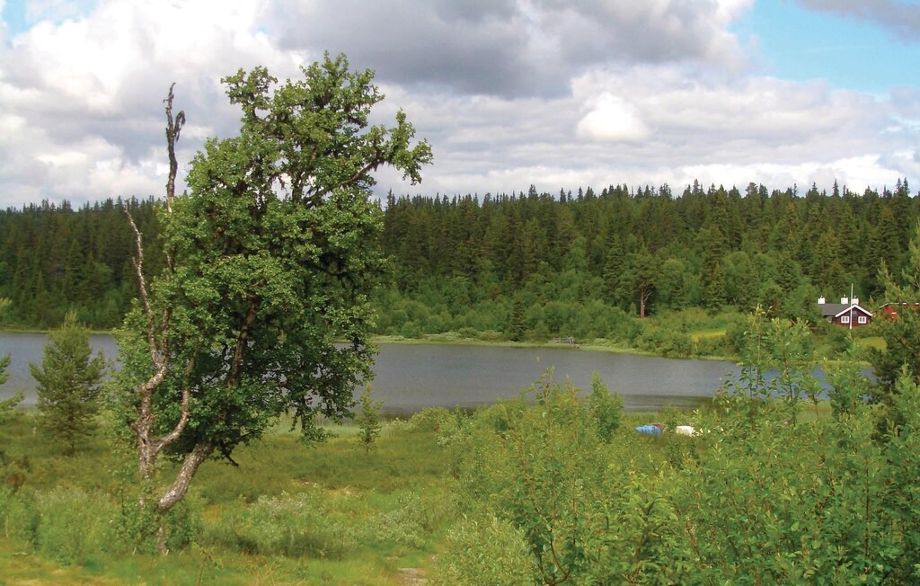 Photo of Outdoor in Odlo