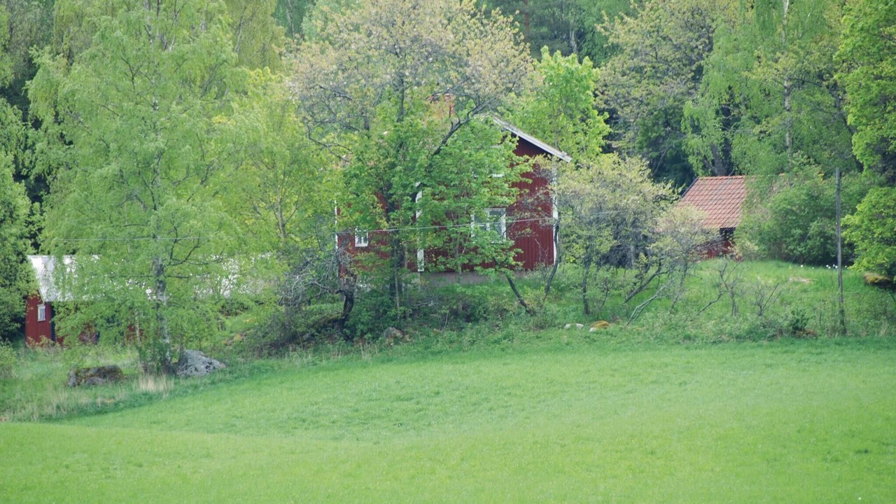Photo of Others in Gamleby