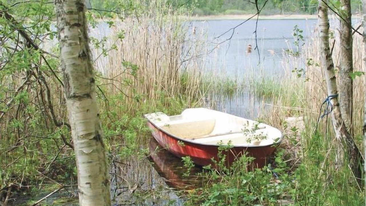 Photo of Others in Gamleby