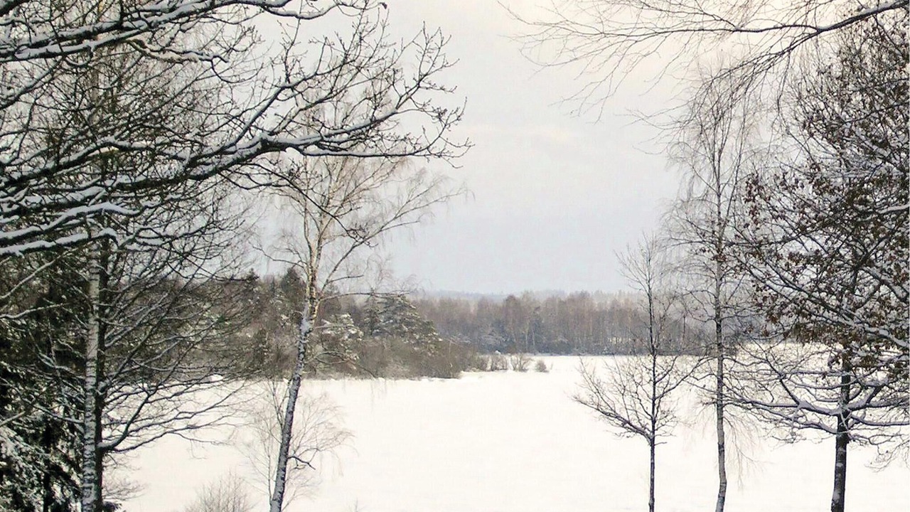 Photo of Others in Flattinge