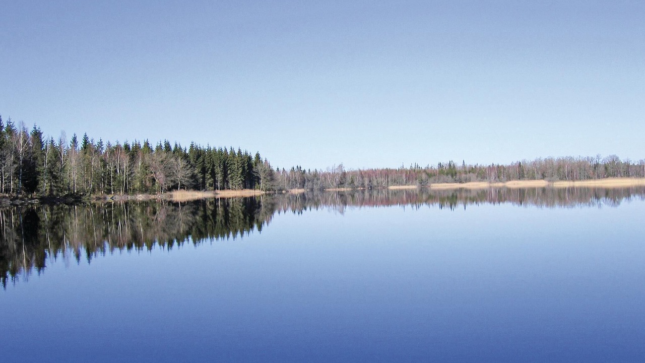 Photo of Others in Flattinge