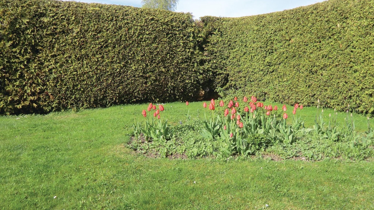 Photo of Others in Borgholm