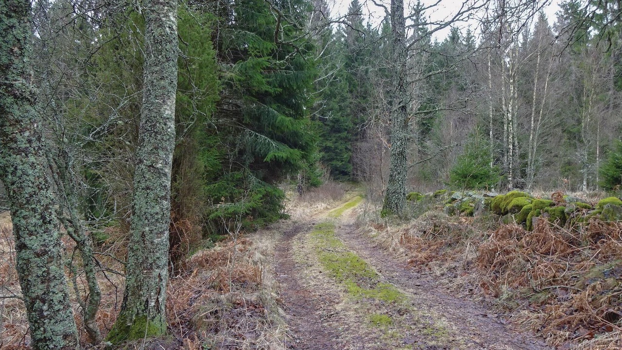 Photo of Others in Vittsjo