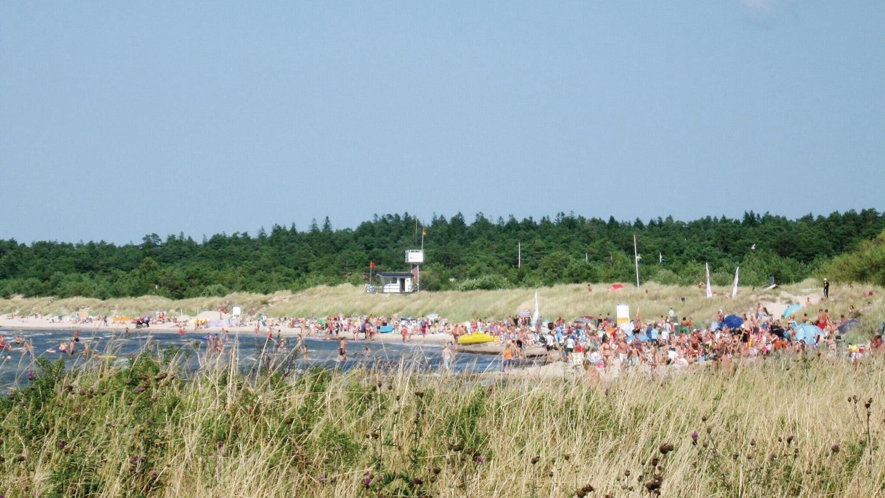Photo of Others in Visby