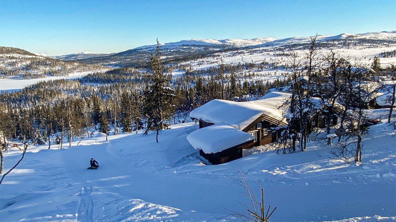 Photo of Others in Vikberget