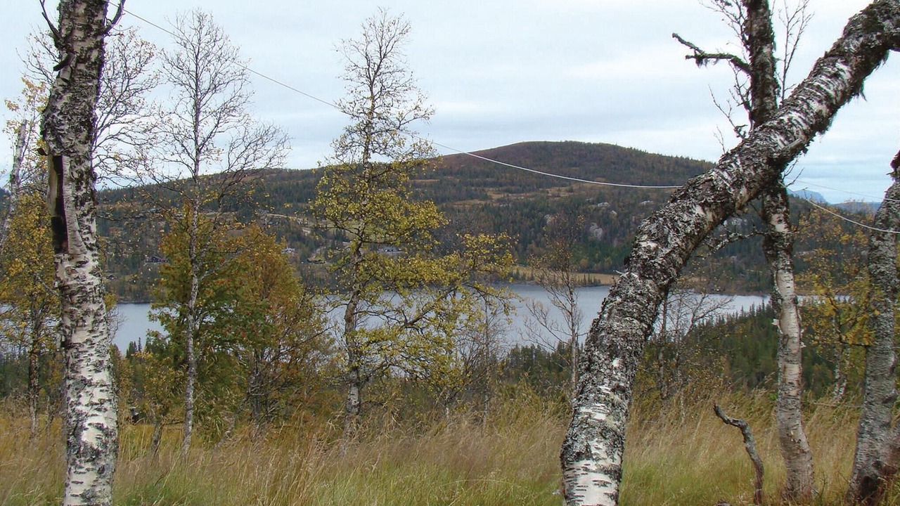 Photo of Others in Vikberget