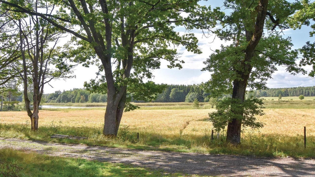Photo of Others in Saffle Municipality