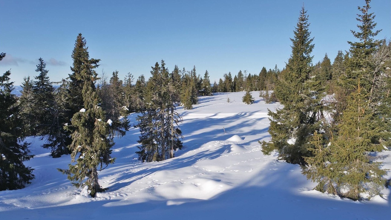 Photo of Others in Sjusjoen