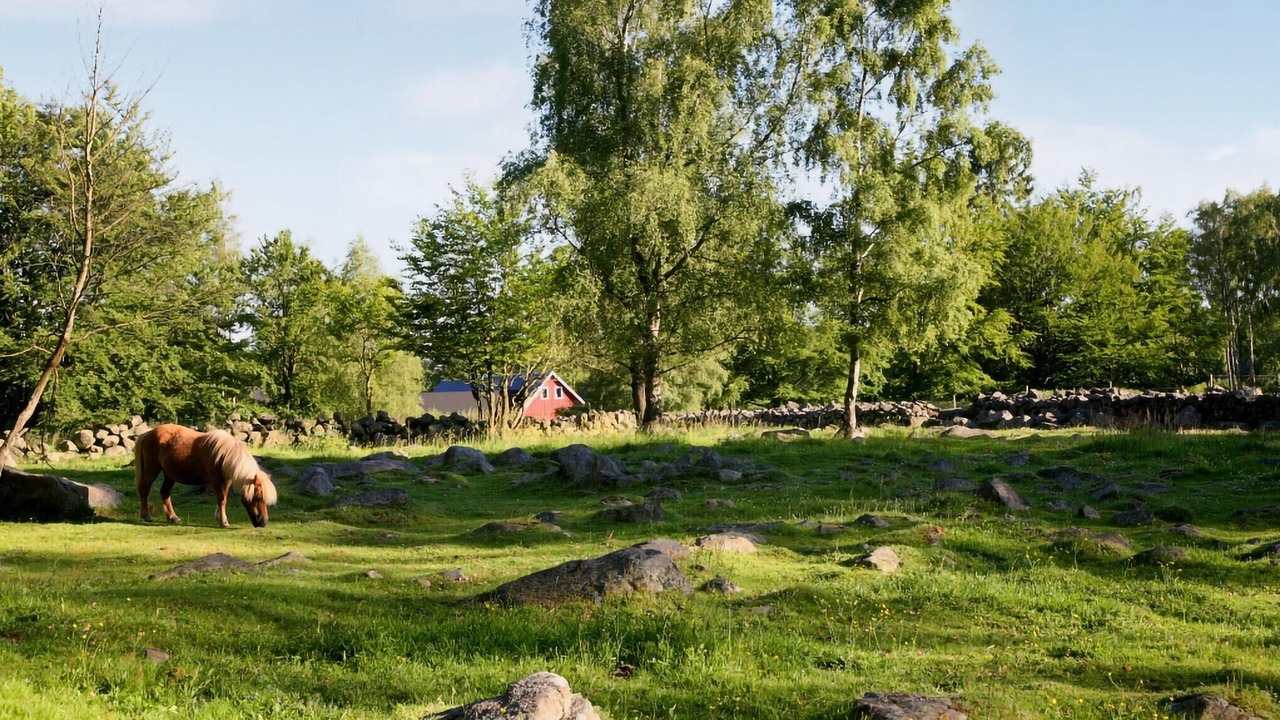 Photo of Others in Horby