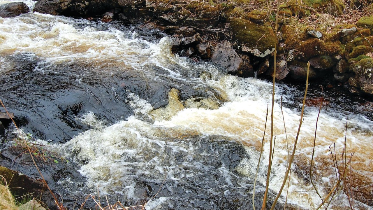 Photo of Others in Ullared
