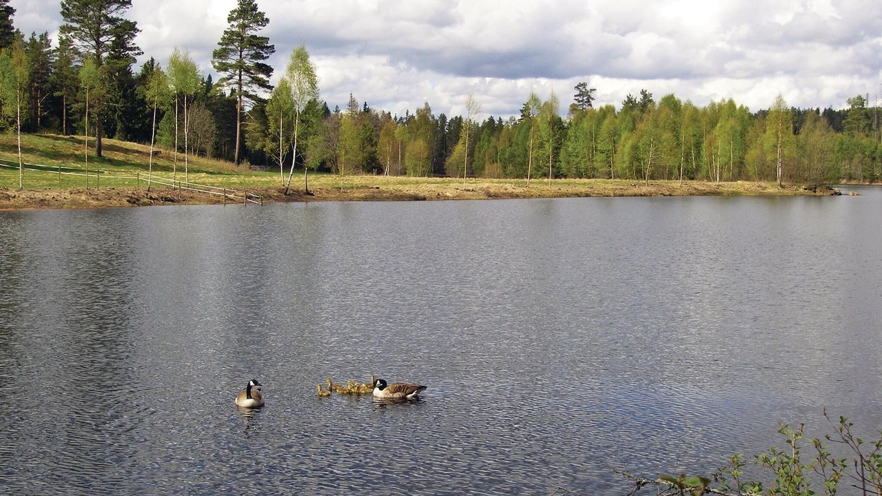 Photo of Others in Skillingaryd