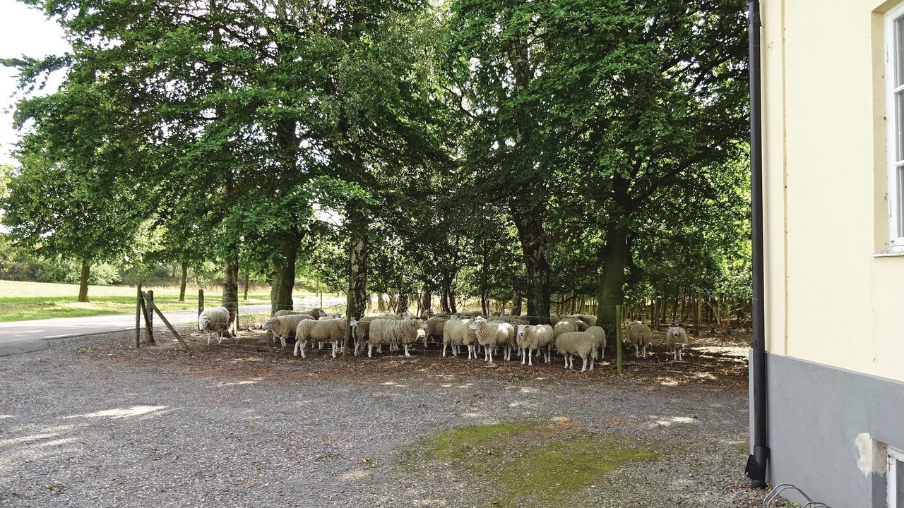 Photo of Others in Tomelilla