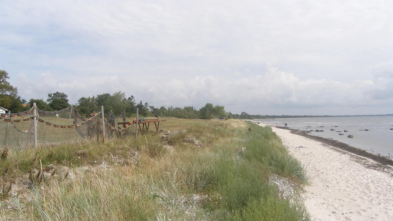 Photo of Others in Beddingestrand