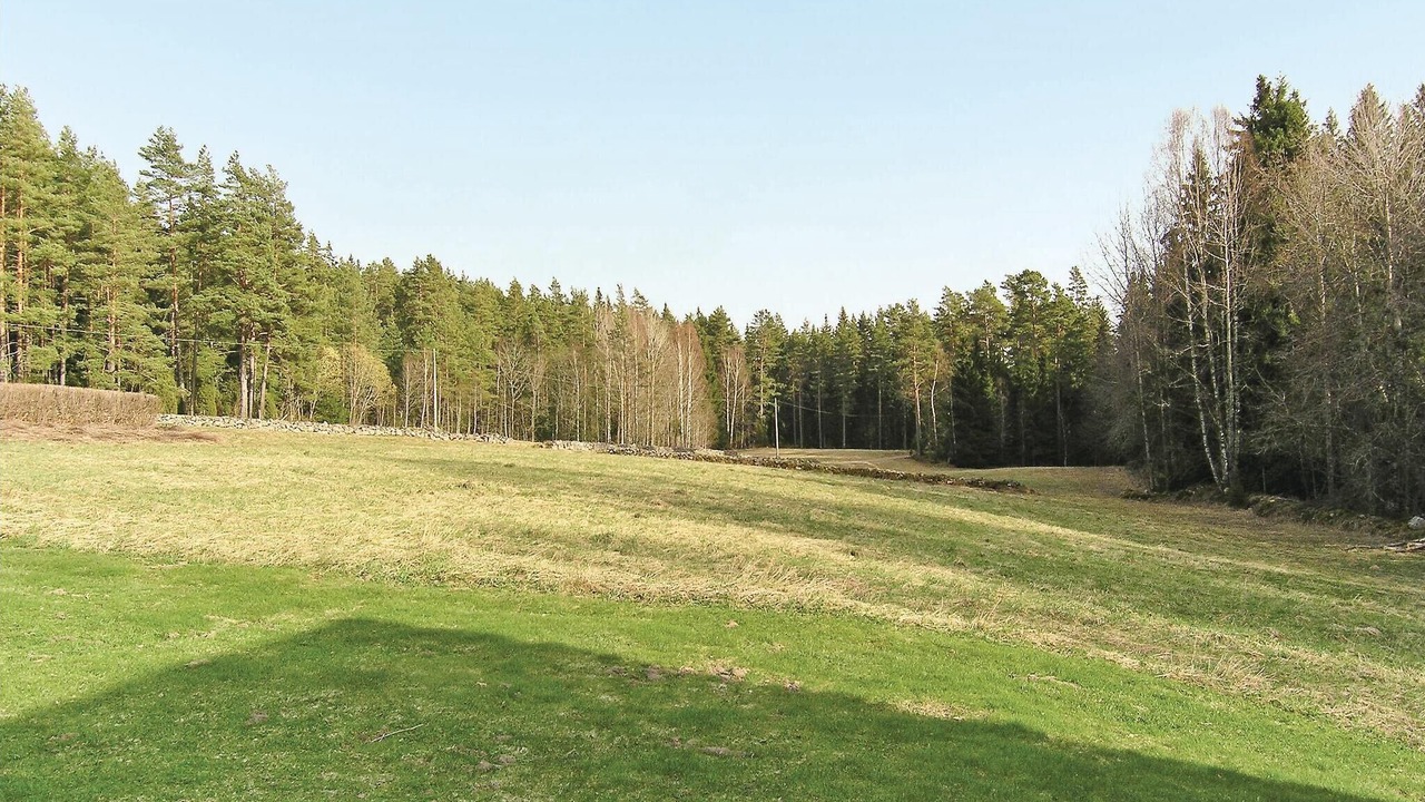 Photo of Others in Hjaltevad