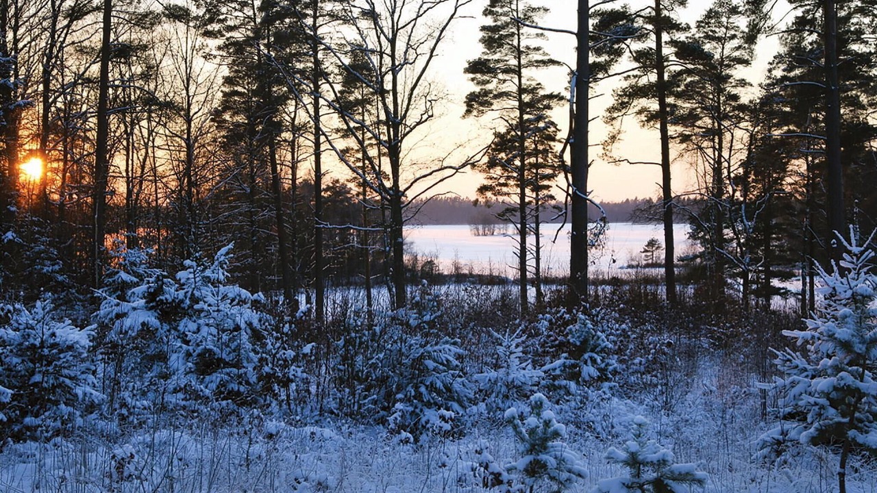 Photo of Others in Annerstad