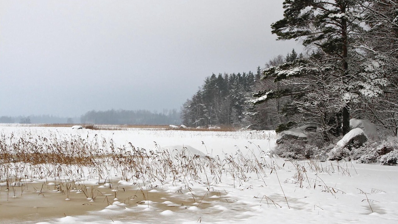 Photo of Others in Annerstad