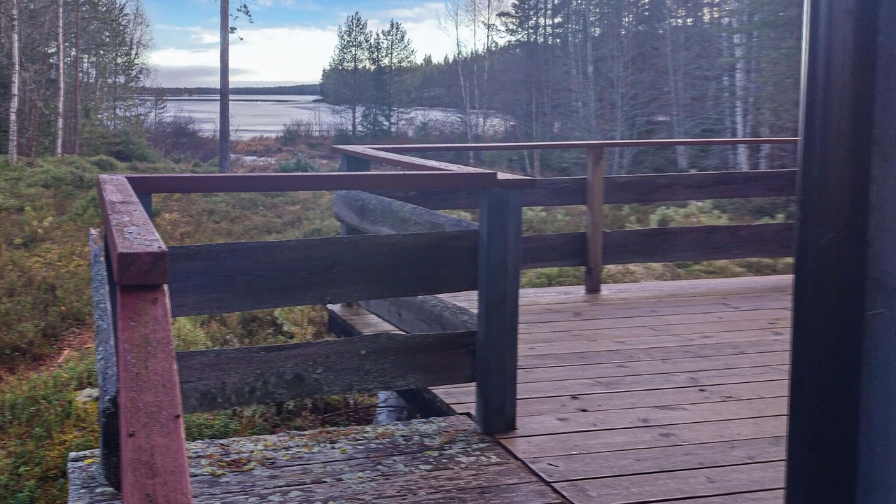 Photo of Others in Ringbo