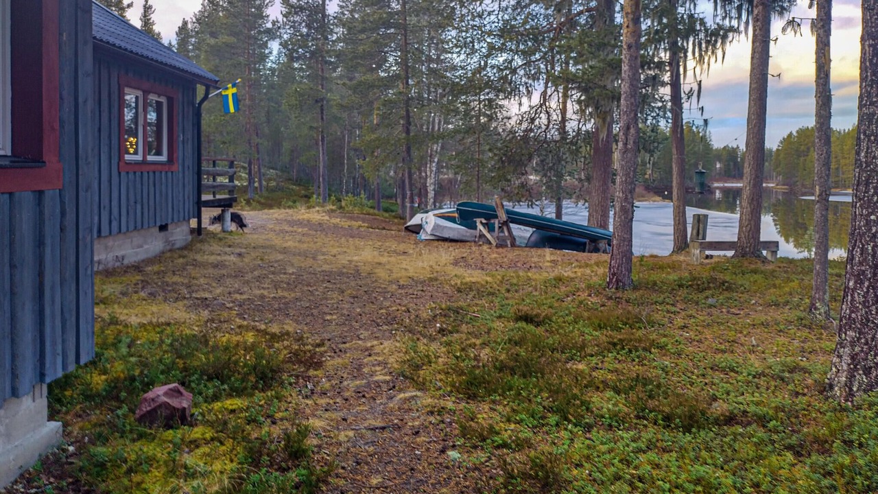 Photo of Others in Ringbo