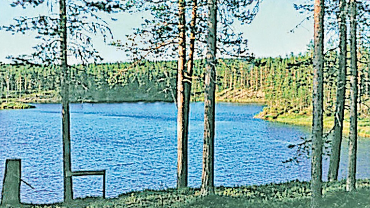 Photo of Others in Ringbo