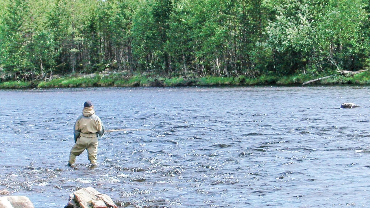 Photo of Others in Ringbo