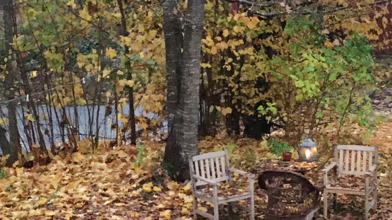 Photo of Others in Immeln