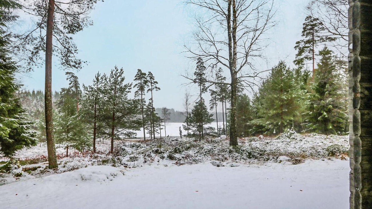 Photo of Others in Fegen