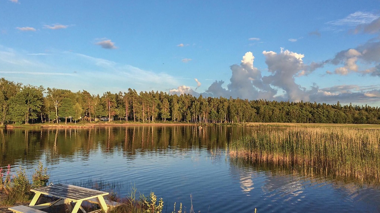 Photo of Others in Stavsjo