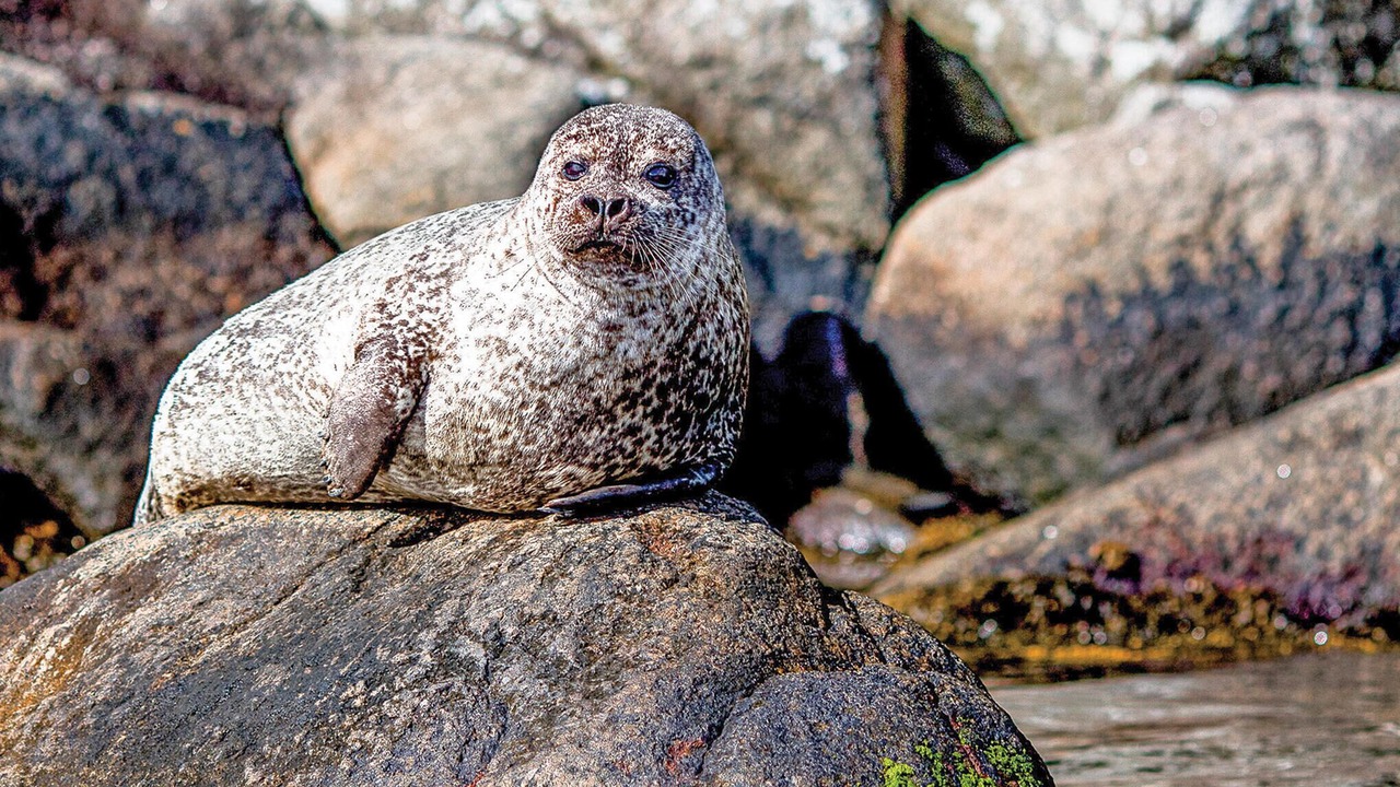 Photo of Others in Farsund