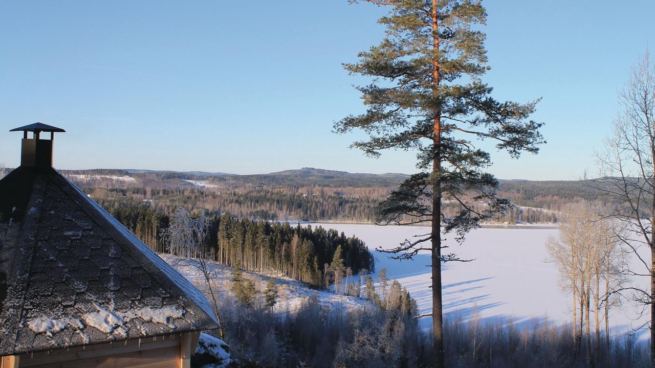 Photo of Others in Svanskog