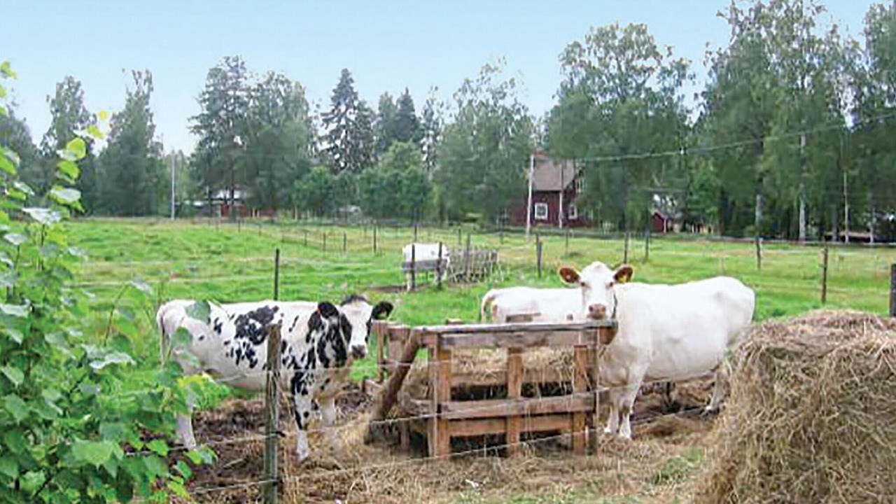 Photo of Others in Hagfors Municipality
