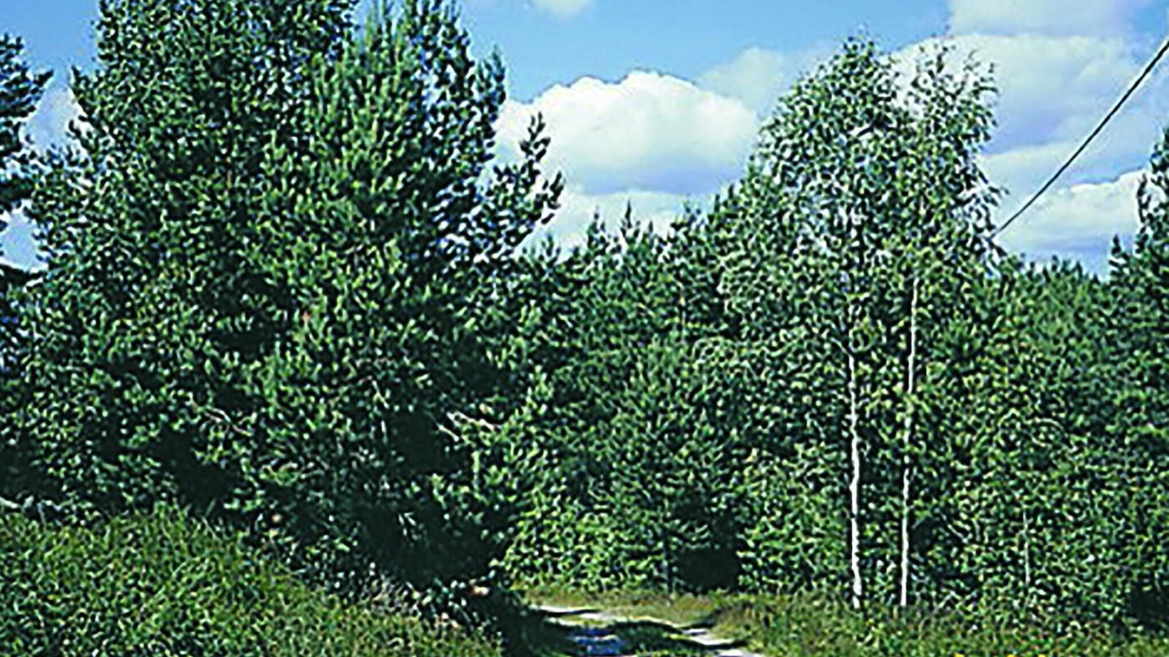 Photo of Others in Kristdala