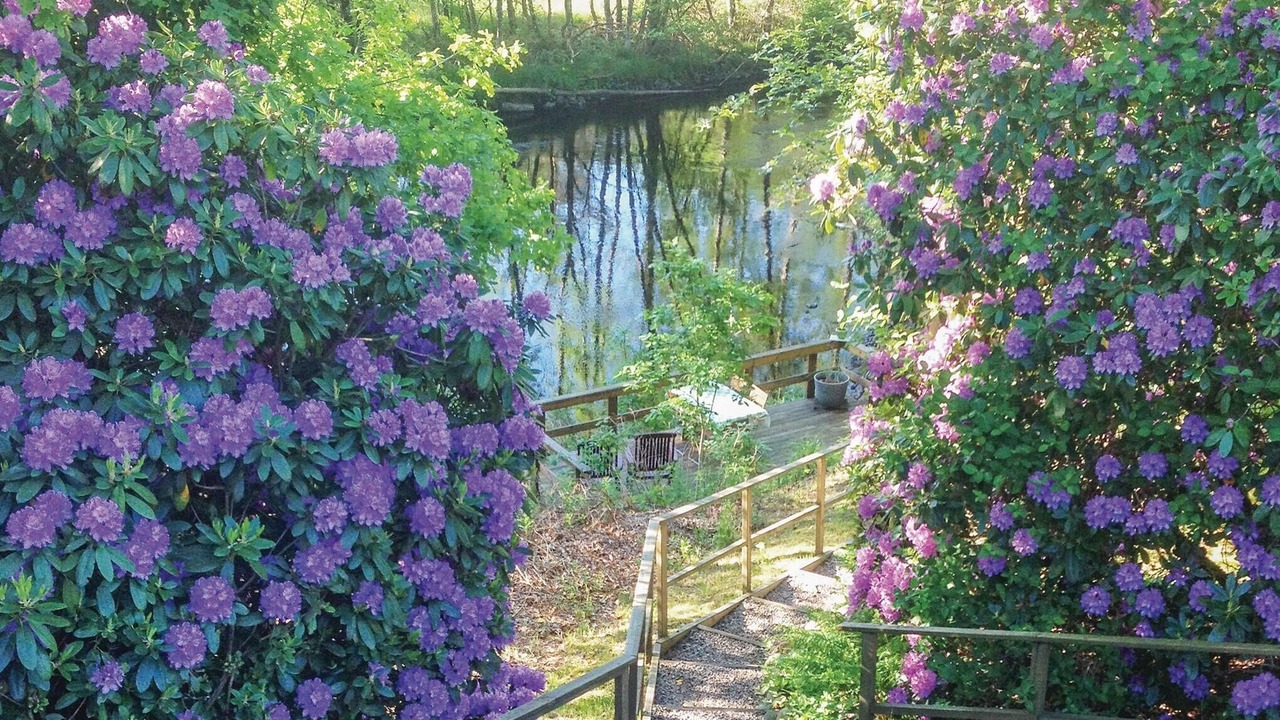 Photo of Others in Halmstad