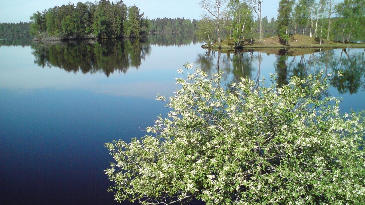 Photo of Others in Varnamo