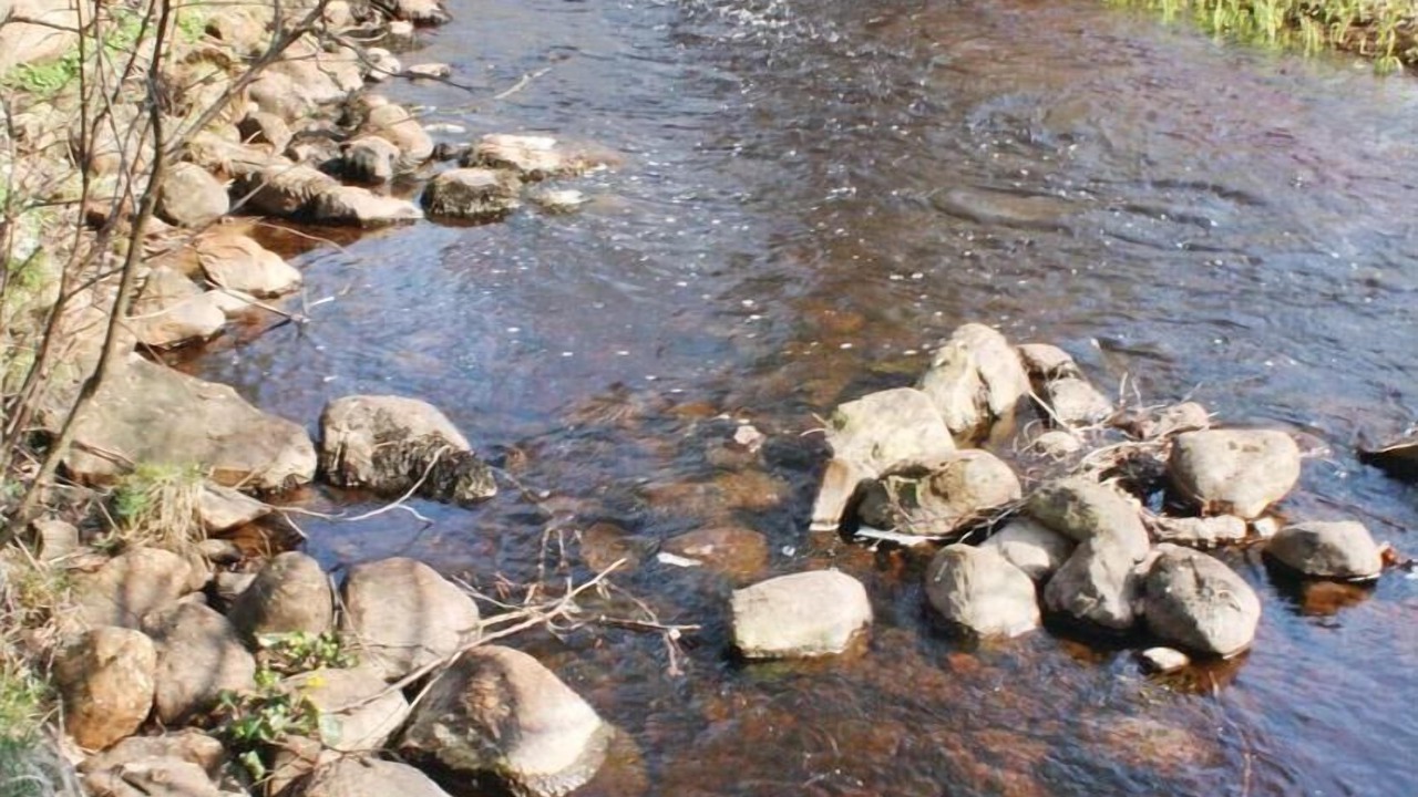 Photo of Others in Orkelljunga Municipality