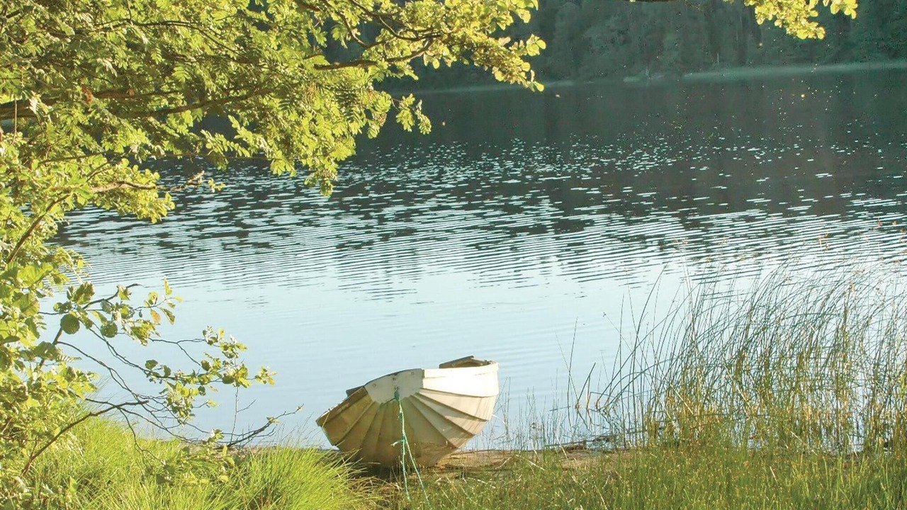 Photo of Others in Annolfsbyn