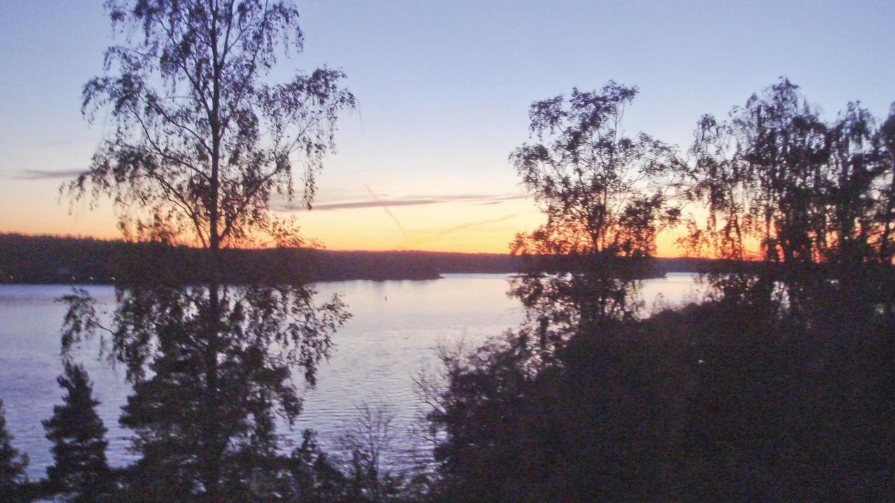 Photo of Others in Tynningo