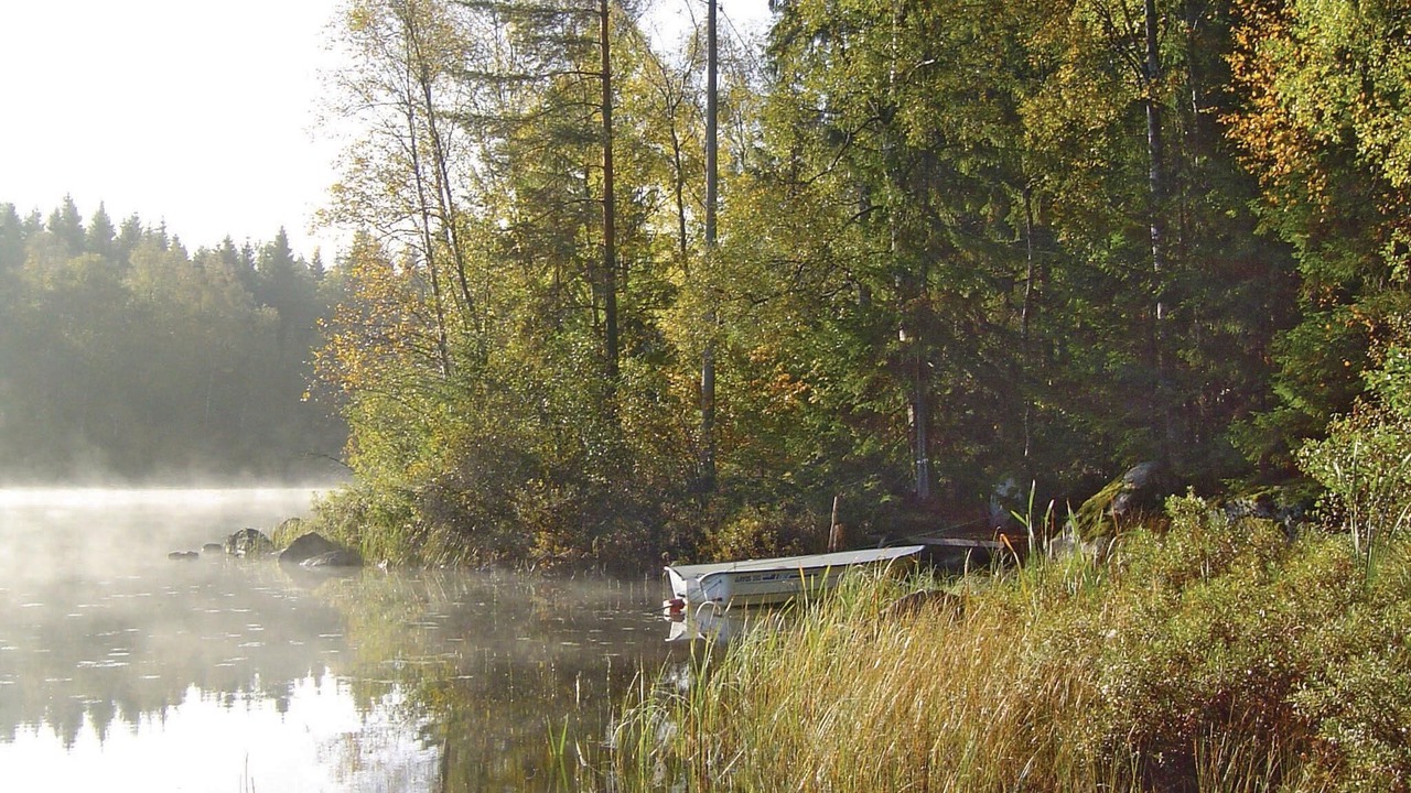 Photo of Others in Lonsboda