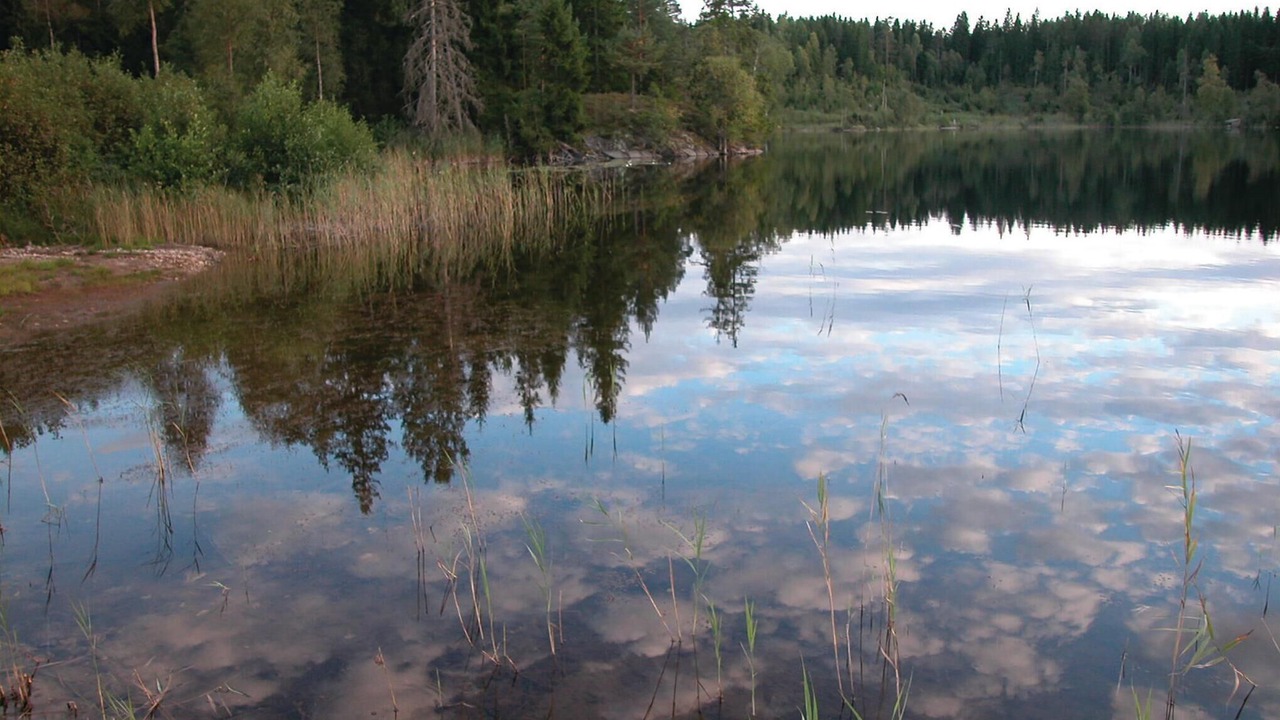 Photo of Others in Syssleback